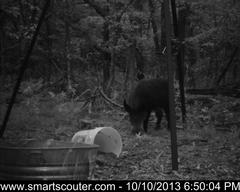 BedandBreakfast-NewFeeder_10102013_5813346.jpg